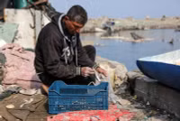 chum-anh-nguoi-dan-gaza-bat-ca-07.jpg