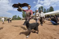 chum-anh-le-hoi-truyen-thong-salbuurun-o-kyrgyzstan-0805-014.jpg