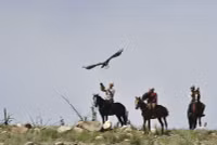 chum-anh-le-hoi-truyen-thong-salbuurun-o-kyrgyzstan-0805-02.jpg