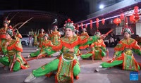 the-gioi-han-hoan-don-nam-at-ty-17.jpg