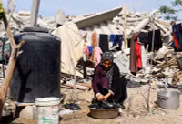 chum-anh-dai-gaza-khi-mua-dong-dang-den-gan-1105-010.jpg