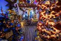 chum-anh-gia-dinh-lap-ky-luc-trang-tri-cay-thong-noel-011.jpg