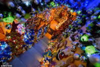 chum-anh-gia-dinh-lap-ky-luc-trang-tri-cay-thong-noel-05.jpg
