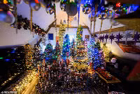 chum-anh-gia-dinh-lap-ky-luc-trang-tri-cay-thong-noel-08.jpg