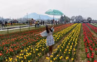chum-anh-vuon-hoa-tulip-lon-nhat-chau-a-mo-cua-don-du-khach.jpg
