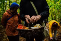 chum-anh-san-nam-hoi-sinh-o-duc-nho-an-chay-01.jpg