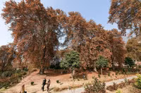 ngam-mua-thu-dep-ngo-ngang-o-kashmir-6.jpg