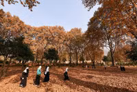 ngam-mua-thu-dep-ngo-ngang-o-kashmir.jpg