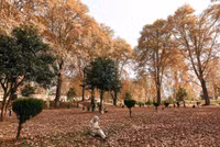 ngam-mua-thu-dep-ngo-ngang-o-kashmir-4.jpg