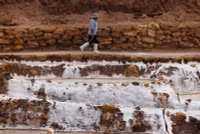 chum-anh-lang-muoi-truyen-thong-peru-tren-nui-andes-1105-04.jpg