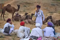 chum-anh-hoi-cho-lac-da-o-pushkar-an-do-1105-012.jpg