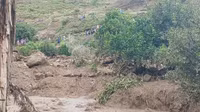sat-lo-san-phang-mot-lang-o-darfur-2.jpg