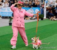 chum-anh-cuoc-dua-cho-corgi-quoc-te-lithuania-2025-17.jpg