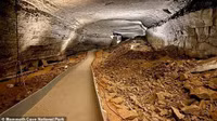bat-ngo-truoc-hang-dong-duoi-nuoc-dai-nhat-the-gioi-9.jpg
