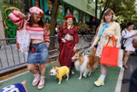 chum-anh-nhung-chu-cho-halloween-05-015.jpg