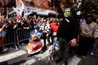 chum-anh-nhung-chu-cho-halloween-05-017.jpg