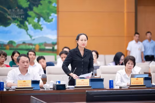 Bộ trưởng Bộ VH,TT&DL Lâm Thị Phương Thanh trình bày Tờ trình tóm tắt dự án Luật Phát triển công nghiệp văn hóa - Ảnh: Quốc Hội.
