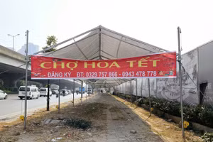 Hà Nội: Đìu hiu chợ hoa ngày gần Tết