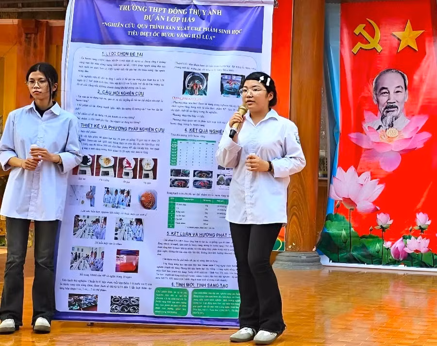 dong-thuy-anh.jpg