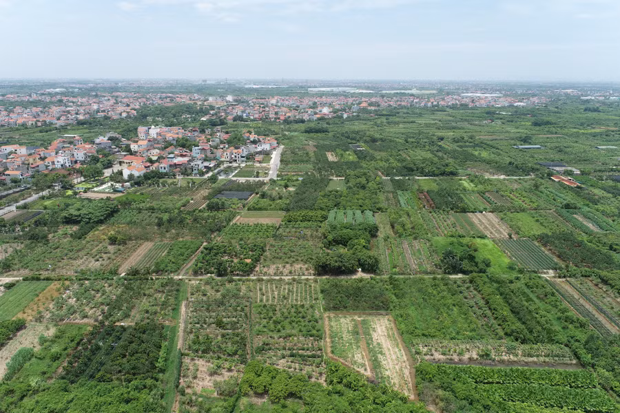 dji-20260625114105-0048.jpg