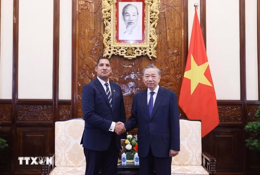 Tong-Bi-thu,-Chu-tich-nuoc-To-Lam-tiep-Dai-su-cac-nuoc-trinh-Quoc-thu-19.jpg
