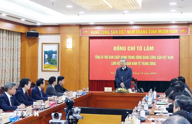 tong-bi-thu-to-lam-lam-viec-voi-ban-kinh-te-trung-uong-12.jpg