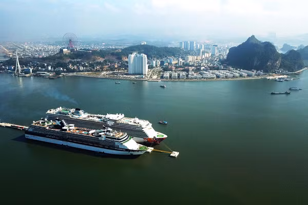 Tàu du lịch quốc tế đến Hạ Long.