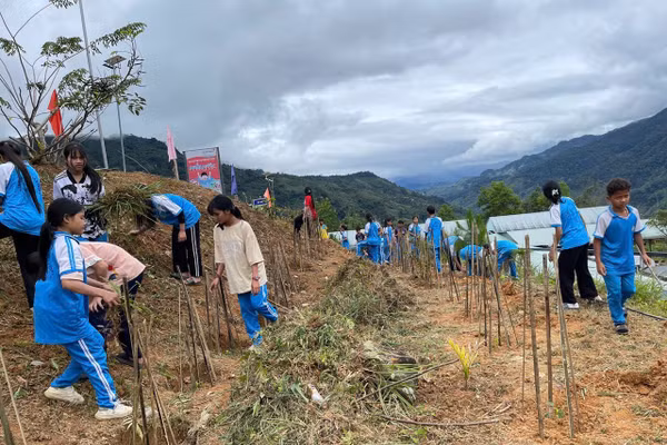 Học sinh Trường Phổ thông dân tộc bán trú Tiểu học & THCS Trà Nam làm đất, trồng cây dược liệu tại vườn trường.