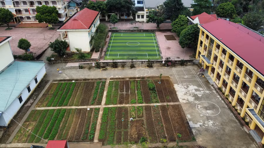 Việc trồng rau giúp học sinh cảm nhận được thành quả lao động của mình.