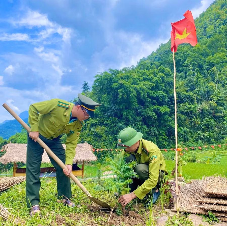 Kiểm lâm Khu bảo tồn thiên nhiên Mường La trồng cây xanh.