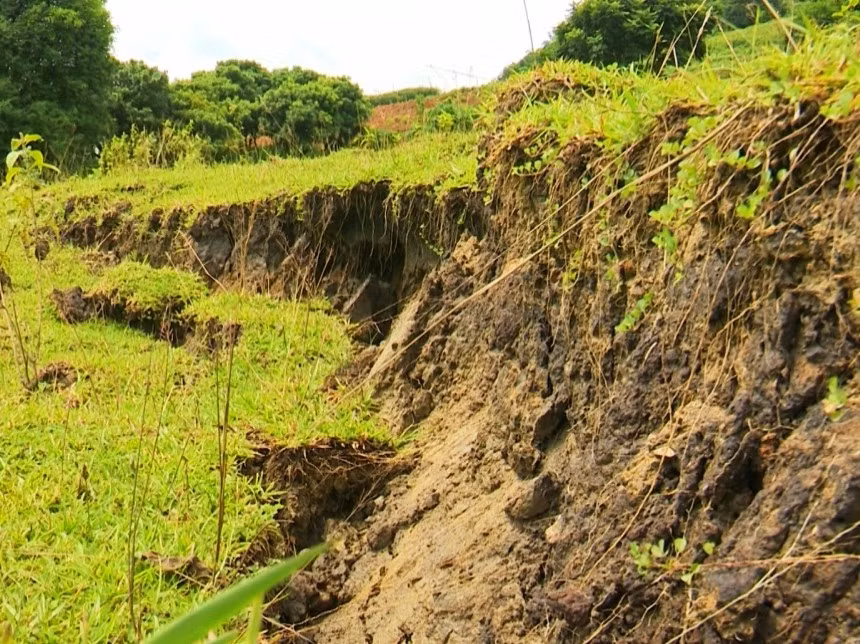 IMG_20240925_083609.jpg