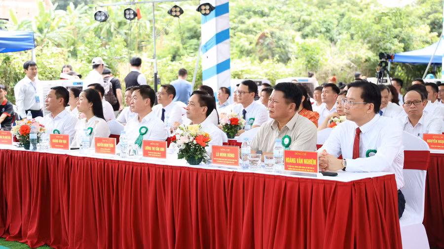7c5a3967.jpg