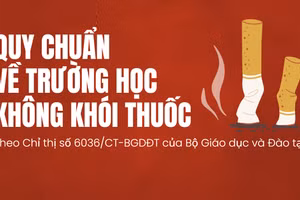 Infographic: Quy chuẩn về trường học không khói thuốc