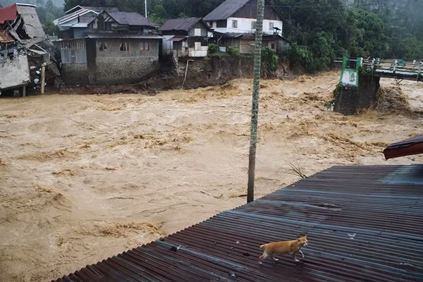 Cảnh thảm họa lũ lụt và sạt lở ở Indonesia cướp đi nhiều sinh mạng