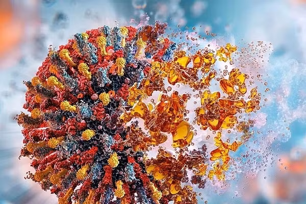 Vaccine đột phá này ngăn ngừa ung thư hắc tố, ung thư tuyến tụy và ung thư vú ở chuột - và các nhà khoa học cho biết nó có thể có hiệu quả ở người