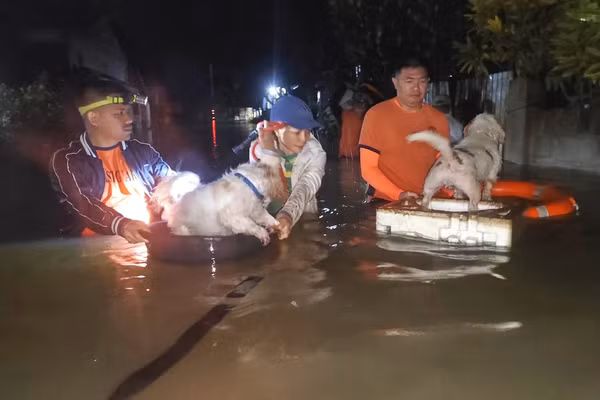 Bão Bualoi càn quét Philippines, gió giật tới 135km/h
