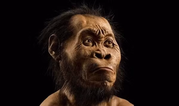 Việc phát hiện ra loài Homo naledi đã gây chấn động cộng đồng cổ sinh vật học.