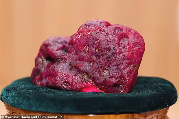Một viên ruby khổng lồ nặng 11.000 carat vừa được phát hiện tại Myanmar, có trọng lượng tương đương một chú chó nhỏ.