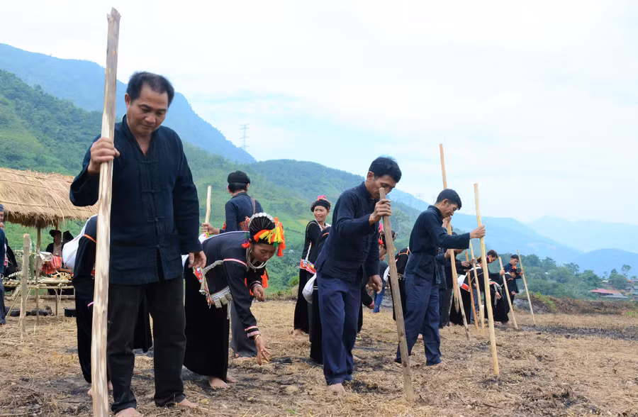 Bà con thực hiện nghi thức chọc lỗ, tra hạt. Bà con thực hiện nghi thức chọc lỗ, tra hạt.