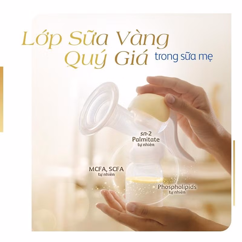 3 tiêu chuẩn vàng của sữa mẹ có chứa các tinh chất dinh dưỡng và kháng thể giúp tăng cường hệ miễn dịch hiệu quả, dễ dàng tiêu hóa,hấp thu và phát triển trí não & thị giác. 3 tiêu chuẩn vàng của sữa mẹ có chứa các tinh chất dinh dưỡng và kháng thể giúp tăng cường hệ miễn dịch hiệu quả, dễ dàng tiêu hóa,hấp thu và phát triển trí não & thị giác.