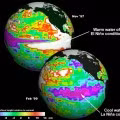 Chiều cao bề mặt đại dương (Ảnh: NASA /JPL)