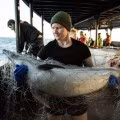 Ảnh minh họa. (Nguồn: Sea Shepherd Global)