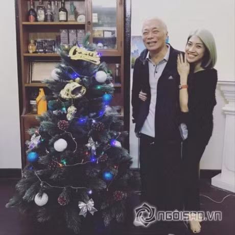 Ron rang khong khi giang sinh trong tung nha Sao Viet - Anh 29