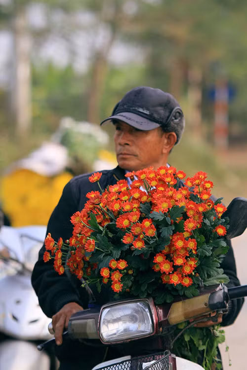 Ngắm phiên chợ độc đáo ở làng hoa Tây Tựu ảnh 9 - 9