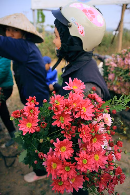 Ngắm phiên chợ độc đáo ở làng hoa Tây Tựu ảnh 14 - 14