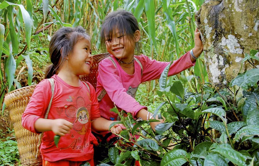 Mặc dù còn nhỏ song nhiều em đã phụ giúp gia đình những việc vừa sức.
