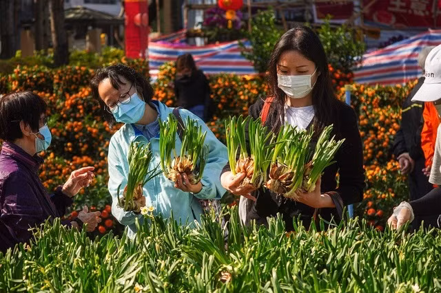 Tại chợ hoa Công viên Victoria ở Hong Kong. Năm nay quy mô chợ hoa bị thu hẹp lại do lo ngại dịch Covid-19 lây lan.