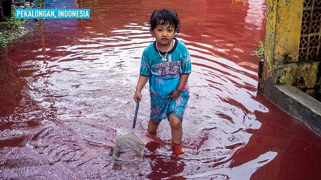 Kinh hoàng "dòng sông máu" làm ngập ngôi làng ở Indonesia ảnh 1