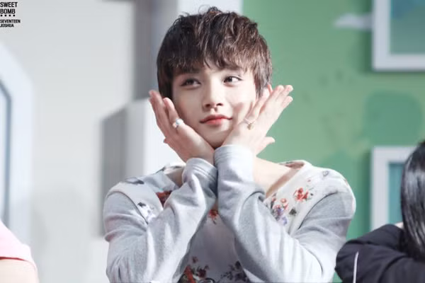 Seventeen là nhóm nhạc quy tụ nhiều chàng trai có ngoại hình ấn tượng. Vernon và Jung Han là hai gương mặt nhận được sự chú ý đặc biệt nhưng Joshua cũng có diện mạo thu hút không kém. 9-than-tuong-co-dung-mao-nhu-hoa-trong-boygroup-han-4