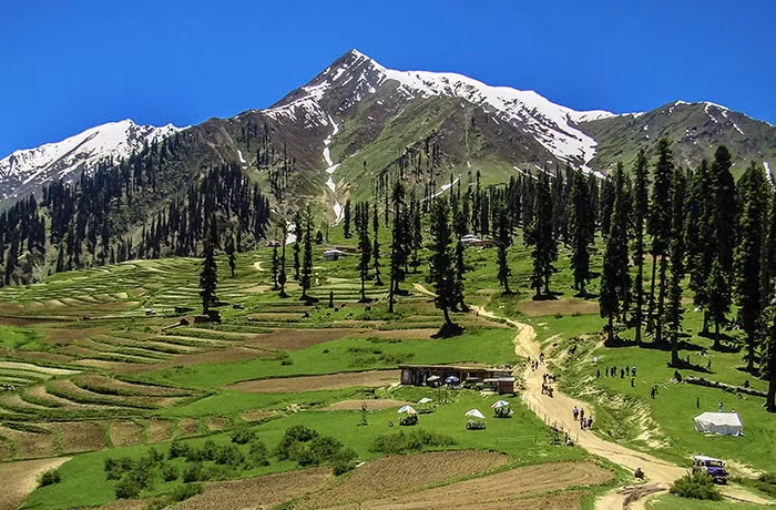 Pakistan sẽ trồng nhiều cây xanh để đối phó với hiệu ứng nóng lên toàn cầu